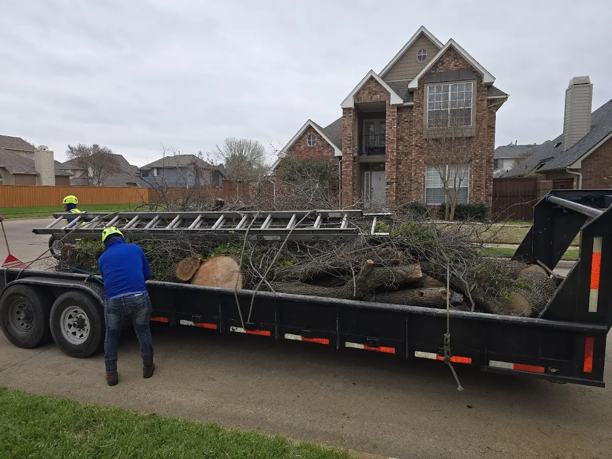 Expert Tree Fertilization with proper safety equipment in Baring